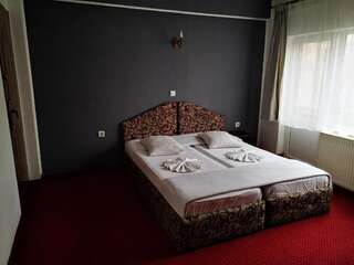 Гостевой дом Golden Pension Тыргу-Жиу Бюджетный двухместный номер с 2 отдельными кроватями-8