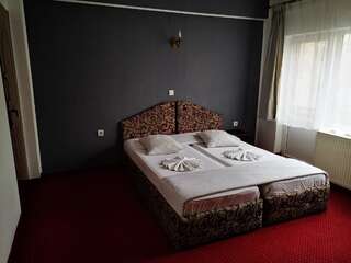 Гостевой дом Golden Pension Тыргу-Жиу Бюджетный двухместный номер с 2 отдельными кроватями-2